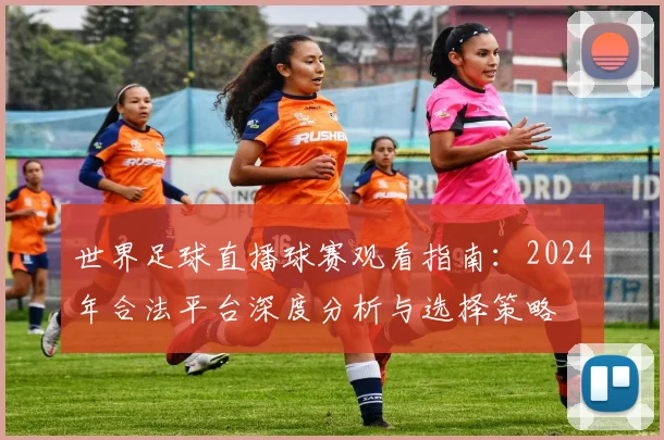 世界足球直播球赛观看指南:2024年合法平台深度分析与选择策略